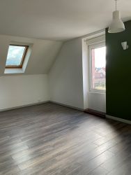 APPARTEMENT - SAINT-DIE -  2 pi�ces (44 m�) :: Loyer mensuel : 480,00 &euro;uros