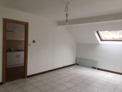 APPARTEMENT - Saint Di des Vosges - 3 pice(s) - 66 m² :: Loyer mensuel : 455.00€